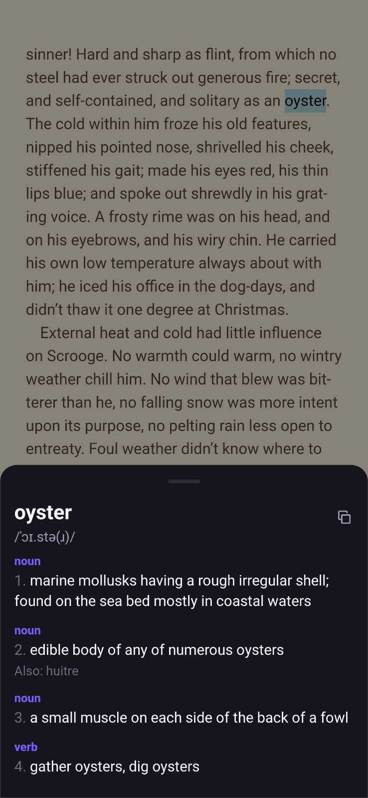 OPDSy offline dictionary lookup showing the definition of a tapped word while reading